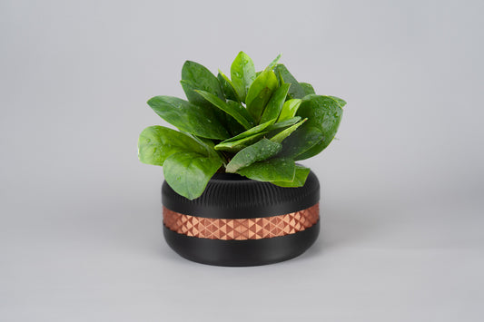 Black Plant Pot